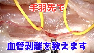【裁断】手術展開のマスターテクニック Microsurgery] Vascular dissectoion with chicken wing (English sub