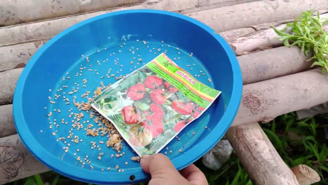 PAK EKO CARI KESIBUKAN DI SIANG HARI