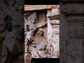 You can't believe this🪔 #sanatandharma#hinduism#kltalks#shorts#ancient 🙏#trending#carvings#viral 🇳🇪