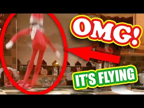 top-5-elf-on-the-shelf-videos-🎄caught-moving-on-camera-omg!!!🎄ep-6