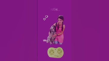 How to make Clay Paw Prints