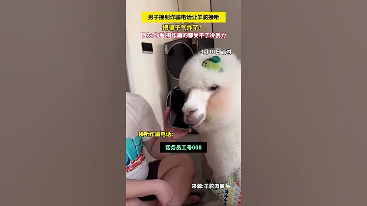 看看羊駝怎麼接聽電信詐騙電話。How do alpacas answer telecom scam calls. #搞笑 #funny #shorts - 天天要聞