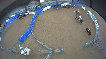 Big Sky Ranch Sorting Saddle Series #6 - Open - Round #2 - Ride #14