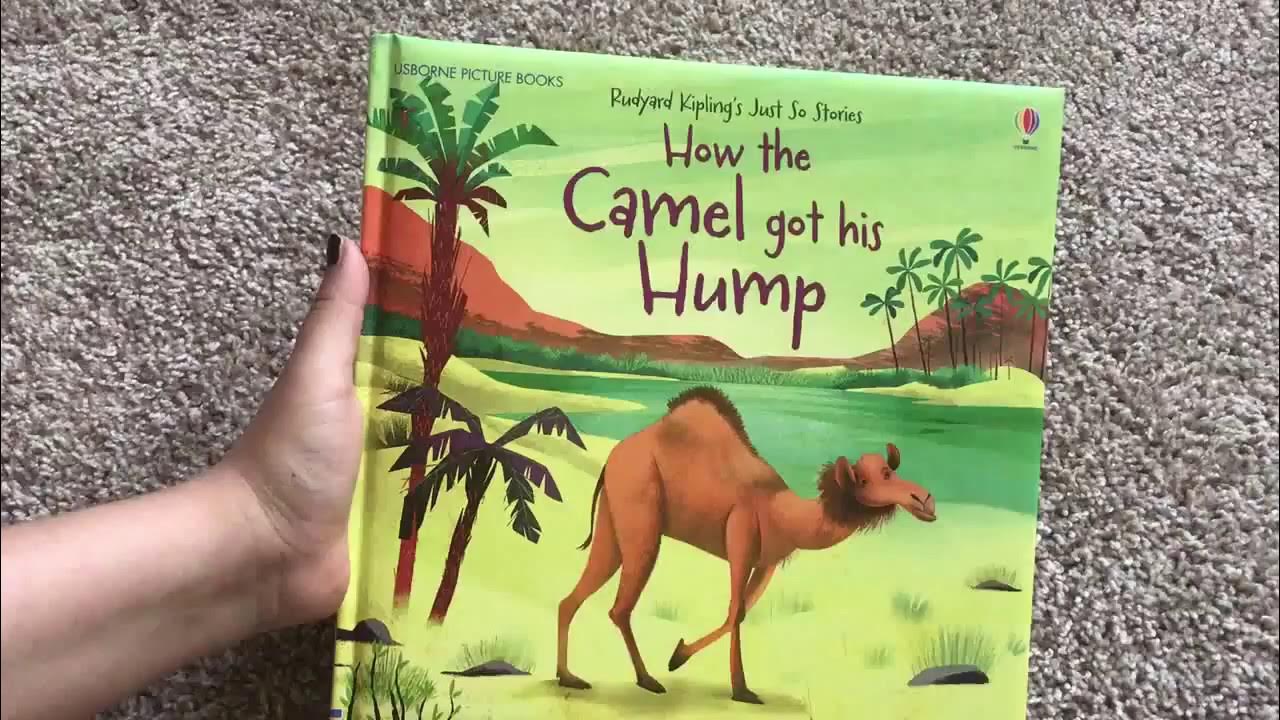 The camel was very thirsty. How the Camel got his hump. How the Camel got his hump 3 класс Spotlight. How the Camel got his hump 3 класс Spotlight задание. How the Camel got his hump once there was a Camel.