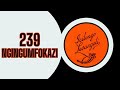 ICILONGO LEVANGELI 239: NGINGUMFOKAZI | SOUTH AFRICAN GOSPEL MUSIC