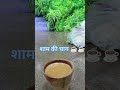 Chay lovers❤️ #shorts #viral #chay #shortvideo #shortsvideo #video #vlog #trending #travel #trend
