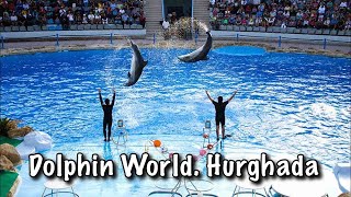 صيف 2020 l دولفين وورلد الغردقة Dolphin World hurghada l Summer 2020 l Diamond tours l