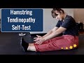 Hamstring Tendinopathy Test