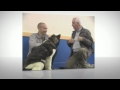 Dr Ian Dunbar lecture in the UK exclusively for dog & bone Dr Ian Dunbar lecture in the UK exclusively for dog & bone