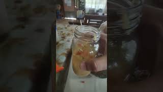 Download Lagu Home Made Salsa Filipina MP3