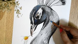 Step by step drawing a beautiful Peacock🦚✏️/ #167