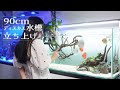 90㎝ディスカス水槽立ち上げ❀アクアリウム Aquarium.