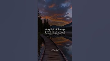 "تلاوة خاشعة من سورة غافر تُلامس القلوب"#اكسبلور #لايك #المصحف #قران_كريم #قرآن #ترند