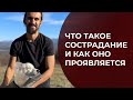 Что такое сострадание и как оно может проявляться?