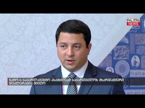 ნატო-ს საპარლამენტო ასამბლეამ საქართველოს მხარდამჭერი დეკლარაცია მიიღო