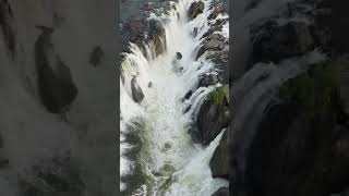 Hogenakkal Falls | aerialfootage viral youtubeshorts waterfall