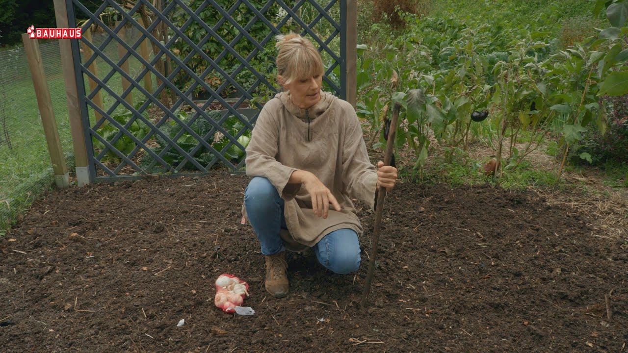 Škola vrtlarstva - jesenska sadnja luka i češnjaka