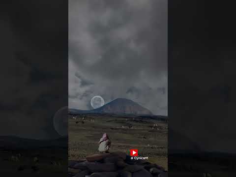 نخيت برقا وروق وسكر البابي شعر الشعرالشعبي اكسبلور