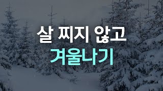 지금 이 '3가지'만 챙기면 겨울에도 살뺄 수 있어요!