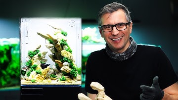 This Nano Tank Shouldn’t Work… But It Does!