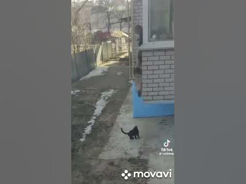 Доверия открой - YouTube