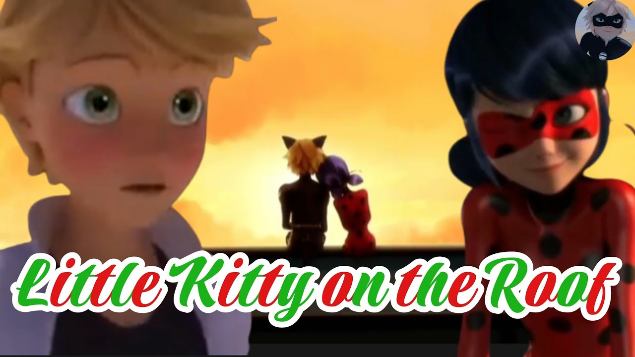 Little Kitty on the roof|AMV|MLB - YouTube