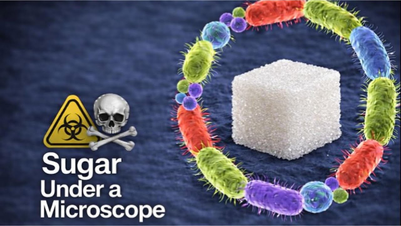 I Was Shocked When I Saw Sugar Under the Microscope 🍬