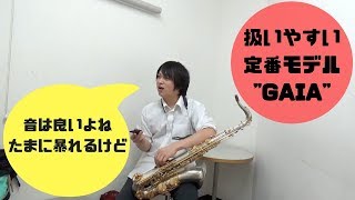 【Theo Wanne GAIA】セオワニのロングセラーマウスピースを吹いてみた！