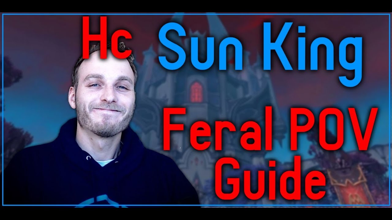 Sun King - Heroic Castle Nathria Feral POV Guide - Psybearslat