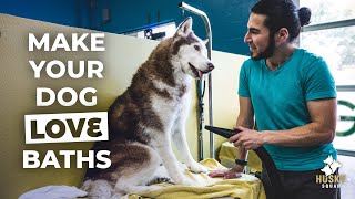 How To Bathe Your Siberian Husky Part 2 | Husky Squad