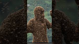 ❗️❗️❗️МЕНЯ чуть не ПОКУСАЛИ ПЧЁЛЫ 😱 🐝 #пчёлы #bee #shortvideo