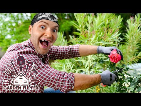 САДОВНИК ВИКТОР ► Garden Flipper