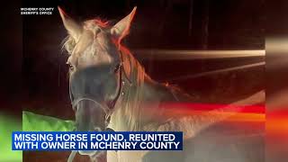Missing horse found in McHenry County