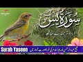 🔴 Surah Yaseen with Urdu Translation Full