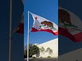 California bear flag flying proudly #flag #california