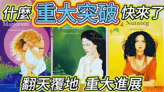 #QQ塔羅 【冥王脫軌 秋分】什麼重大突破快來了?