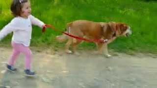 Washington County Sheriff's Office to host "Bark & Blue 5K"