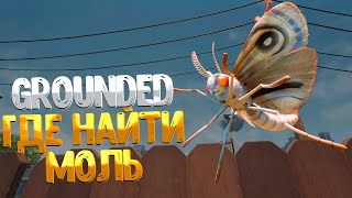 Grounded ➤ ГДЕ НАЙТИ МОЛЬ / КАК СДЕЛАТЬ СНАРЯЖЕНИЕ ИЗ МОЛИ  / MOTH ARMOR