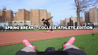 washed college athlete goes on spring break, and yes, nyu has sports by Stanley Hir 1,389 views 1 month ago 24 minutes