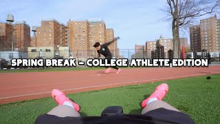 washed college athlete goes on spring break, and yes, nyu has sports