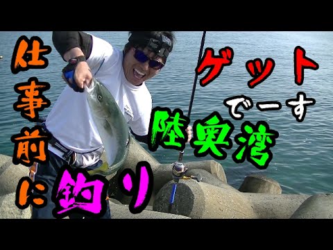 青森市の漁港でイナダゲット 身近な釣り場で大物ヒット Youtube