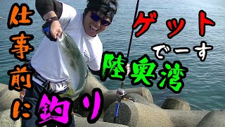 青森市の漁港でイナダゲット 身近な釣り場で大物ヒット Youtube