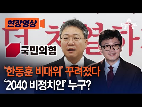 [현장영상] &#39;한동훈 비대위&#39; 꾸려졌다 &#39;2040 비정치인&#39; 누구? / 채널A