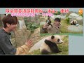 陳卓賢姜濤踩龍鳳始「後台」 重地 學沖奶整玩具做「一日奶爸」