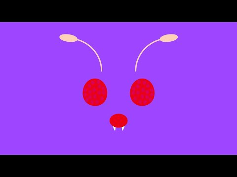 戦い（ＶＳジムリーダー）