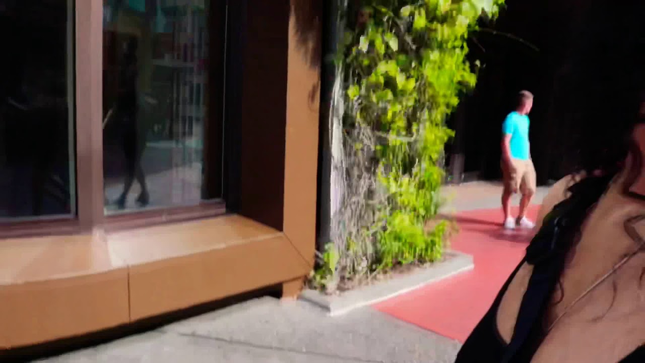 I RENTED OUT UNIVERSAL STUDIOS ORLANDO First vlog YouTube