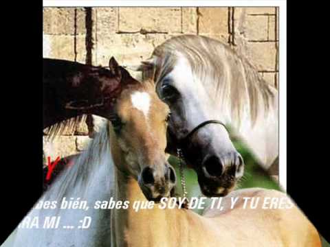 Hasta que te bes - Gerardo Ortiz [Dedicada para mi...