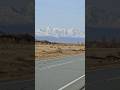 Там ревели горы... Алтай