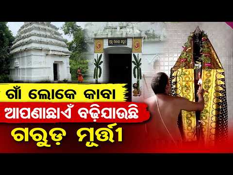 ଆପଣା ଛାଏଁ ବଢ଼ିଯାଉଛି ଗରୁଡ଼ ମୂର୍ତ୍ତୀ | Odisha Reporter
