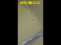 Dare to Jump! Experience the Thrill of Three Gorges Bungee Jump